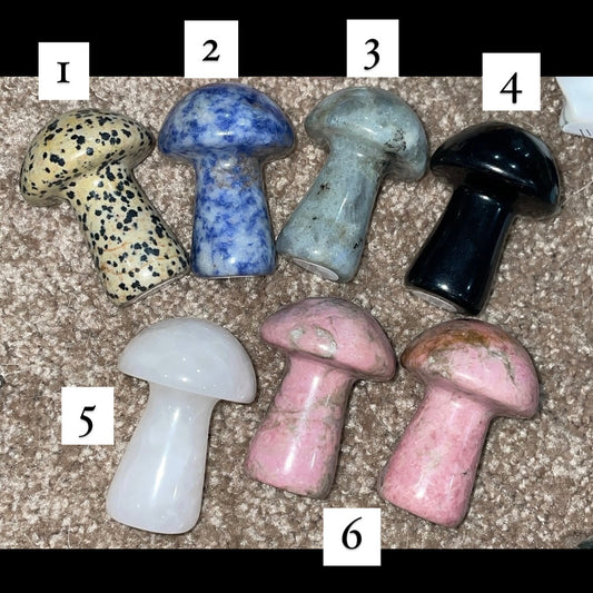 Mushroom carvings: Medium